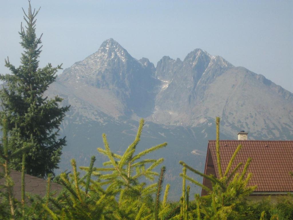 Příroda nedaleko bed and breakfast