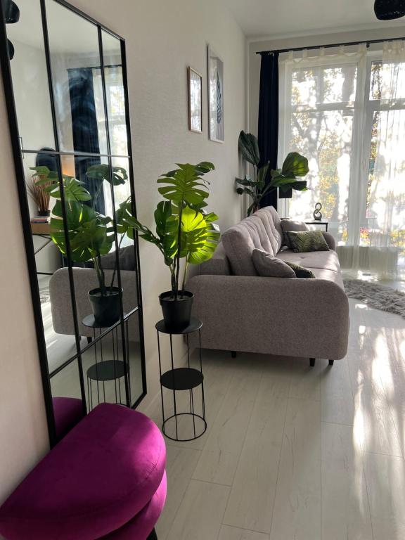 Пространство Green Apartment головне фото