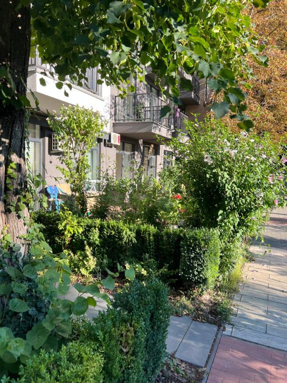 Пространство Green Apartment фото 6