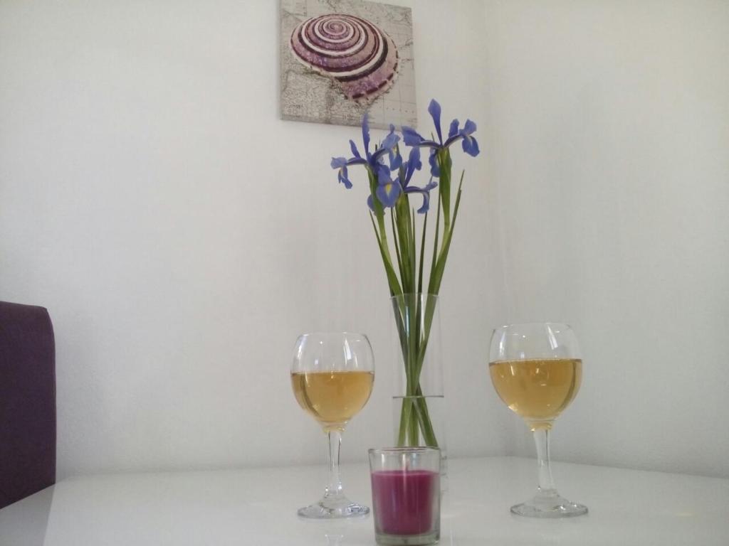 Apartments Jadran - 12