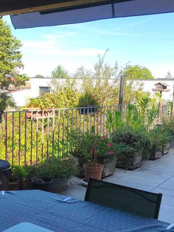 La chambre d'hôtes du facteur d'orgues – photo 18