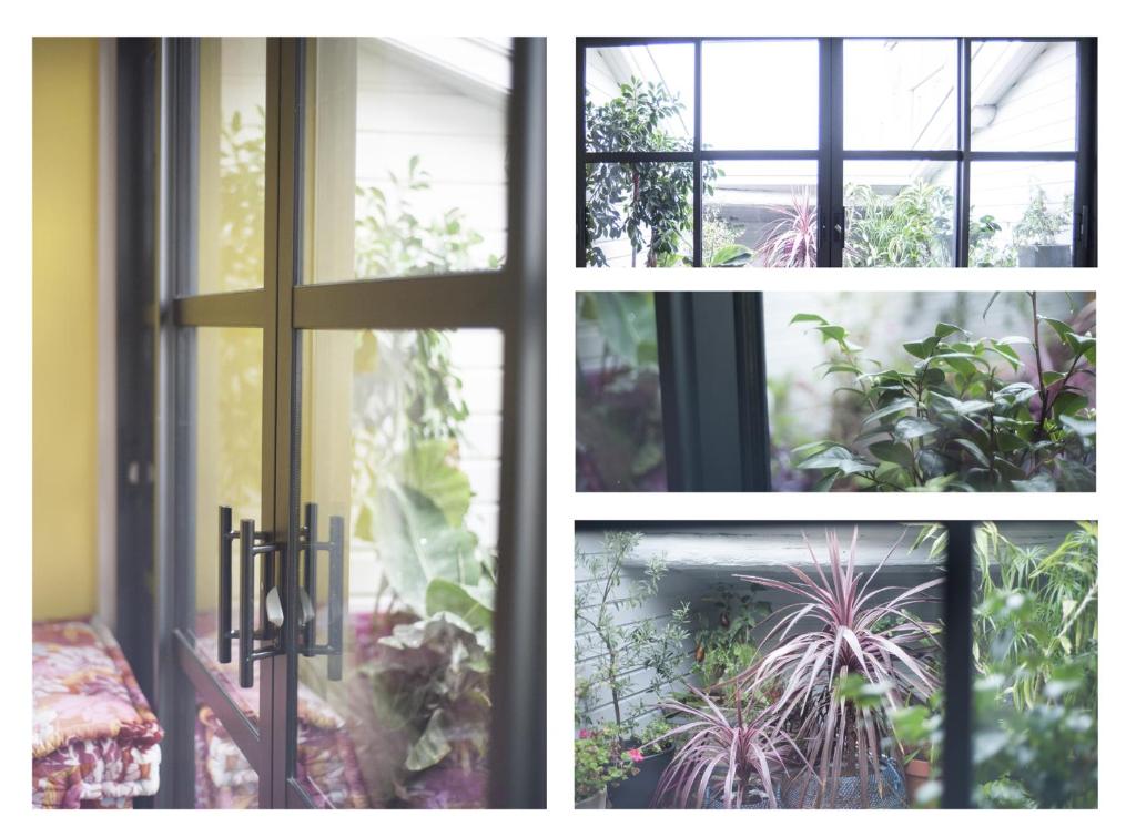 une fenêtre ouverte avec vue sur le jardin dans l'établissement Les Parfums de Madeleine, à Montbrison