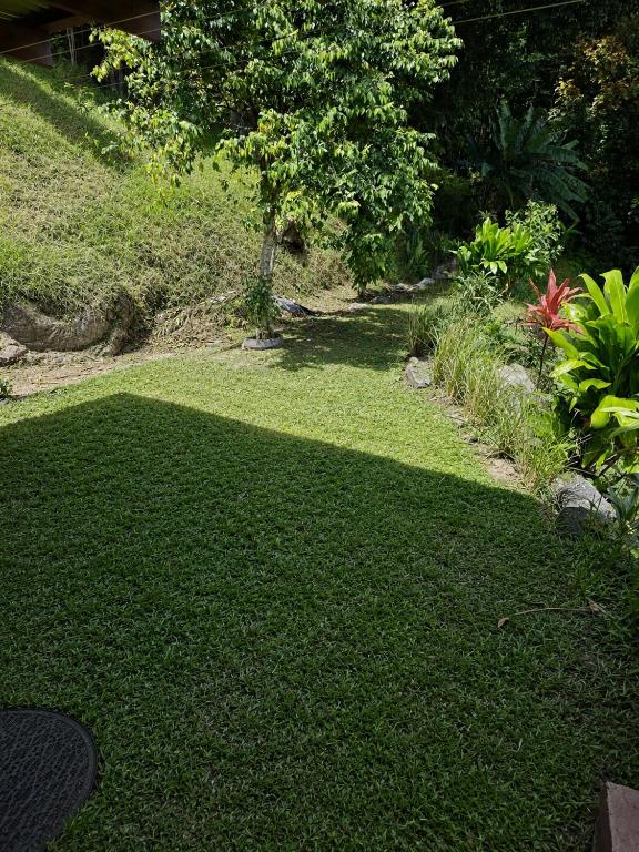 Uupa Bird Cottage Cinema & Jacuzzi - photo 12 - Moorea, Polynésie