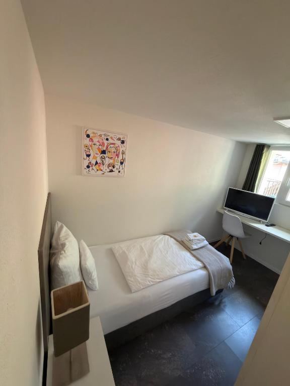 Hotel Sternen Gurtnellen AG - 单人房