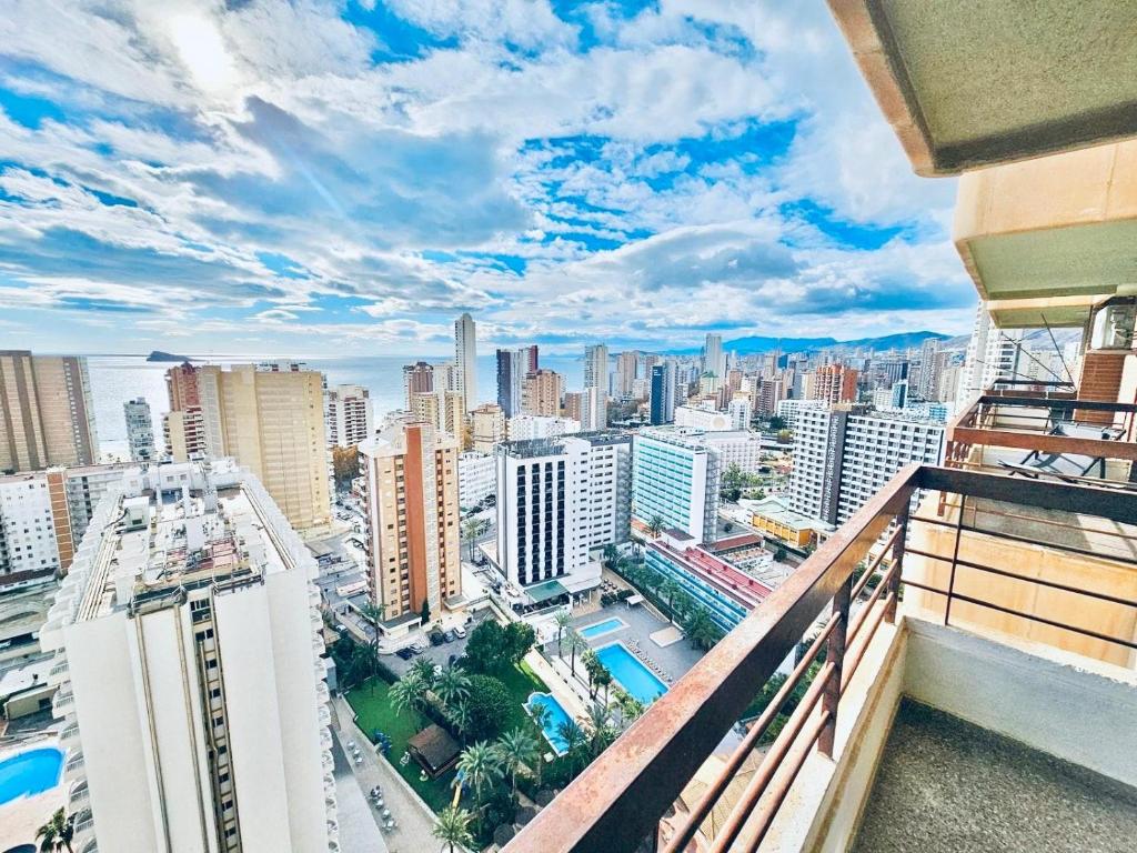 City Views Acuarium 2