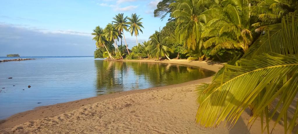 Le Neliza Beach Lodge Raiatea, Opoa - photo 4 - Raiatea, Polynésie