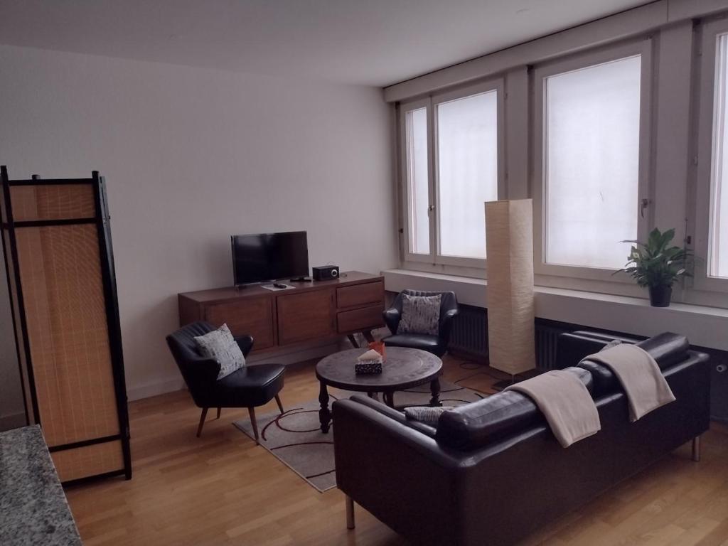 Airy and Central apartment in Zurich