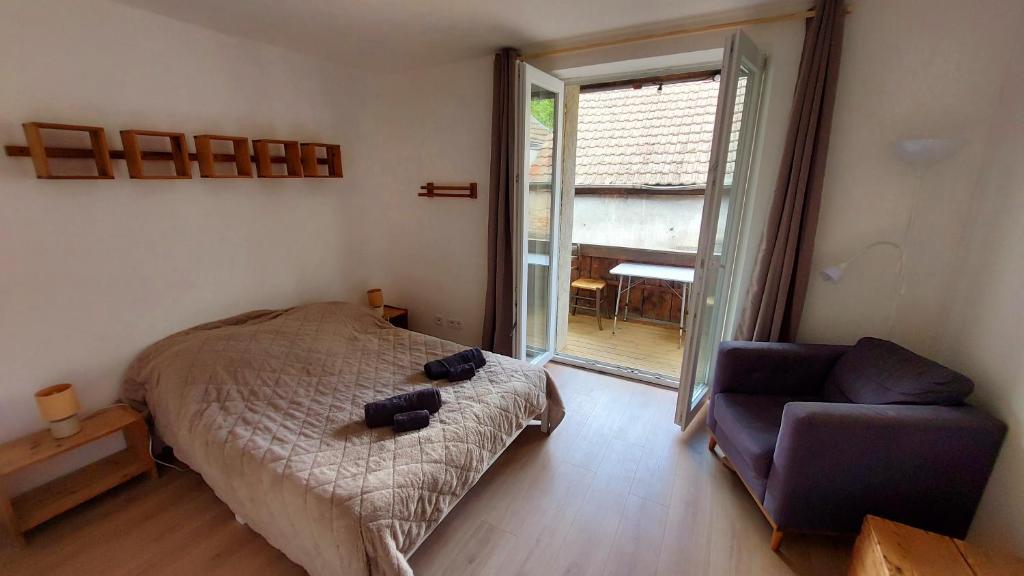 Large Private Room Near Colmar Center with Free Public Parking – photo 9