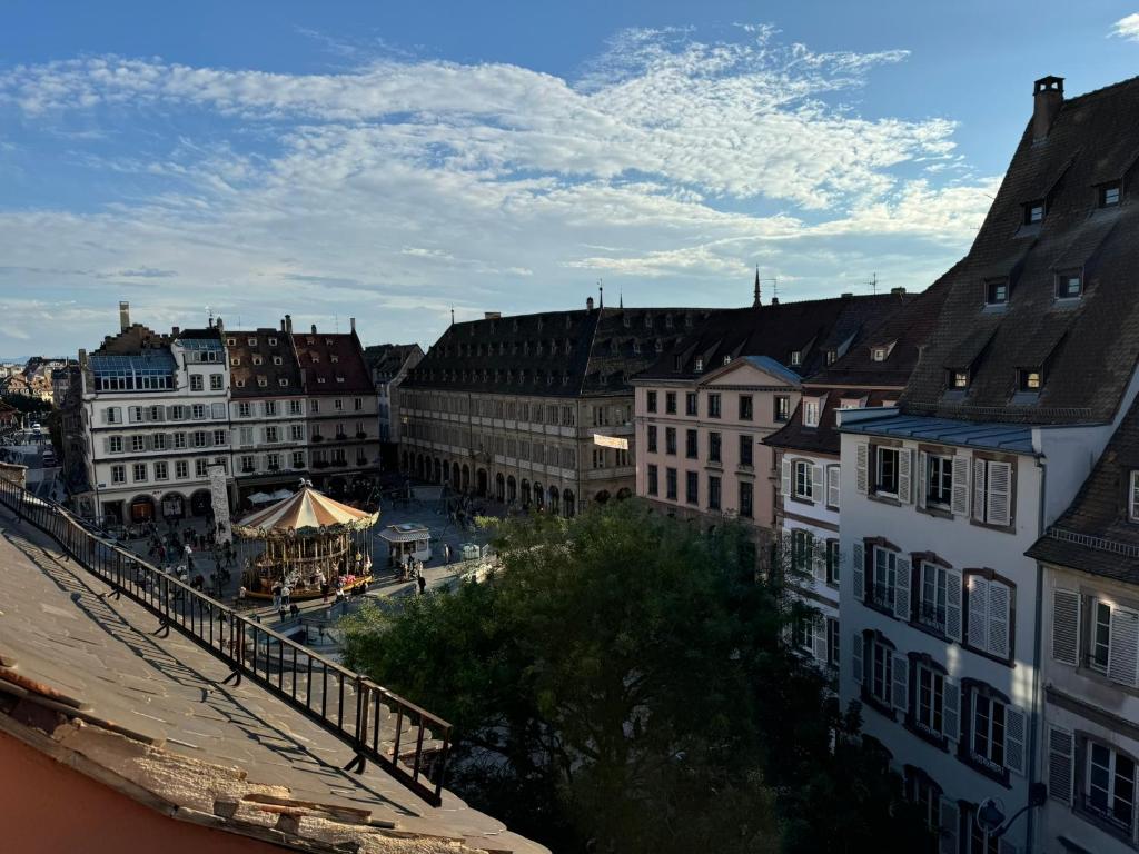 Appartement entier centre ville Strasbourg vue cathédrale