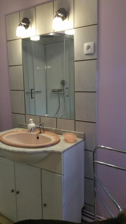 a bathroom with a sink and a mirror at Le Gite de Laurence in Sainte-Livière