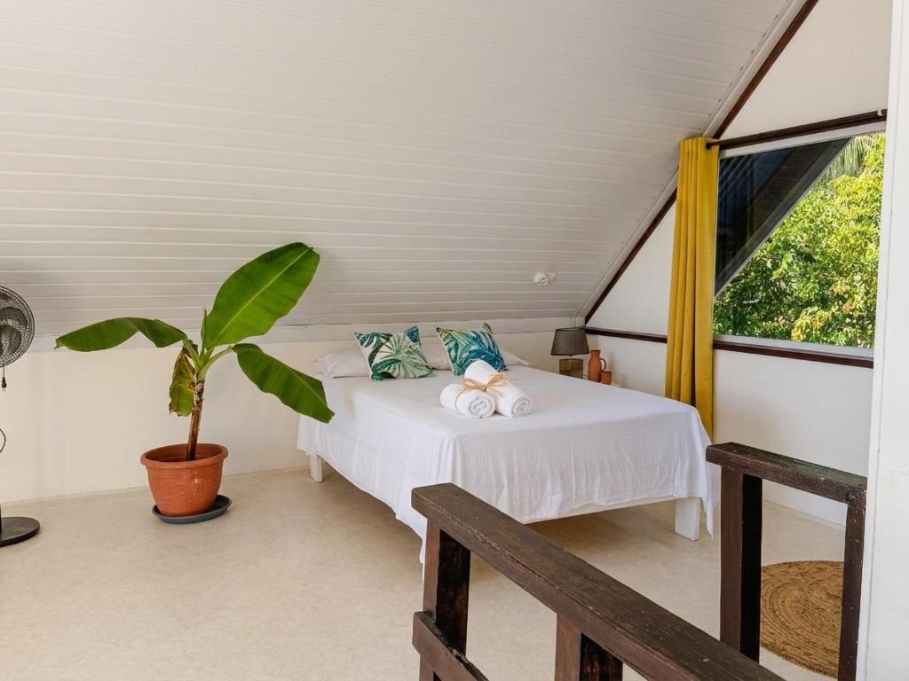 Ave Surfing House - photo 4 - Tahiti, Polynésie