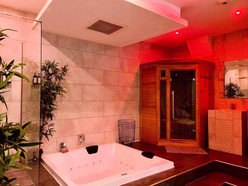 LOFT & SPA PRIVATIF - Housity