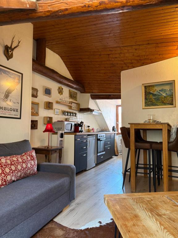 Super cozy alpine chalet - Annecy old town
