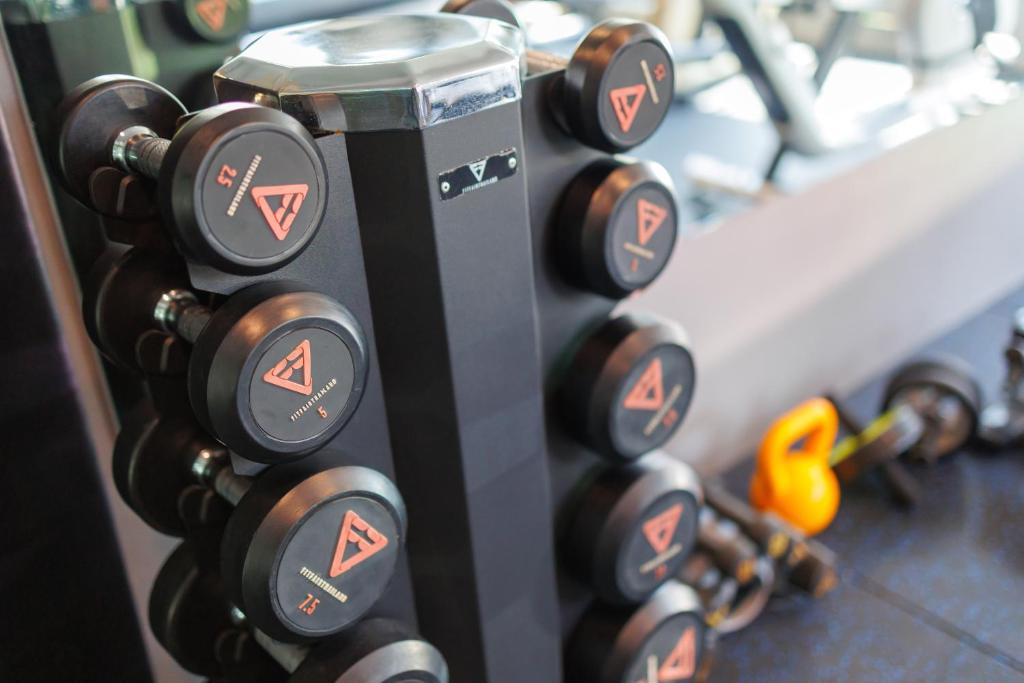 A close-up of the gym’s dumbbell rack and floor weights.