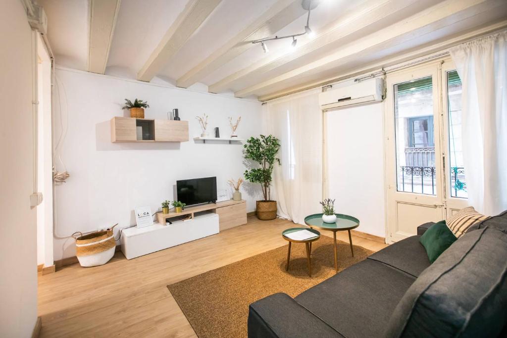 P2ESC1103 - Apartment Barrio Gotico