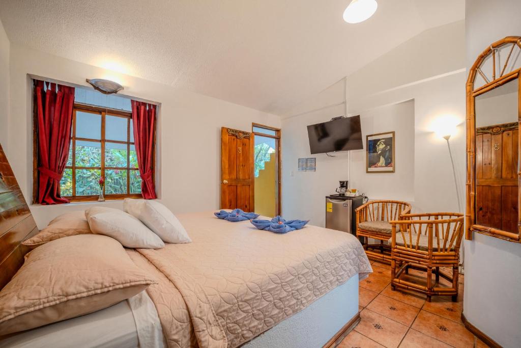 Room at Hotel La Diosa