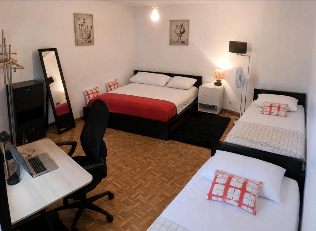 Short-term Large Suite 2 -3 guests
