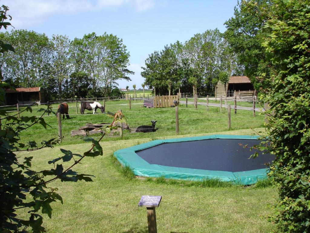 Zahrada ubytování B&B en Vakantiehuisje Ursula