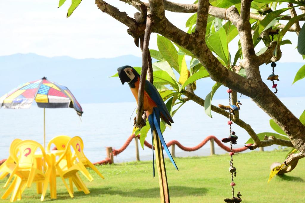  Brisa Hotel
