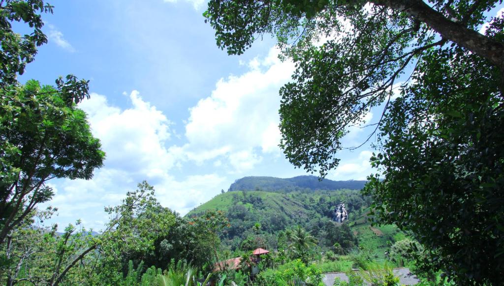 uma vista para uma montanha através das árvores em Sen - Rose Ella em Ella