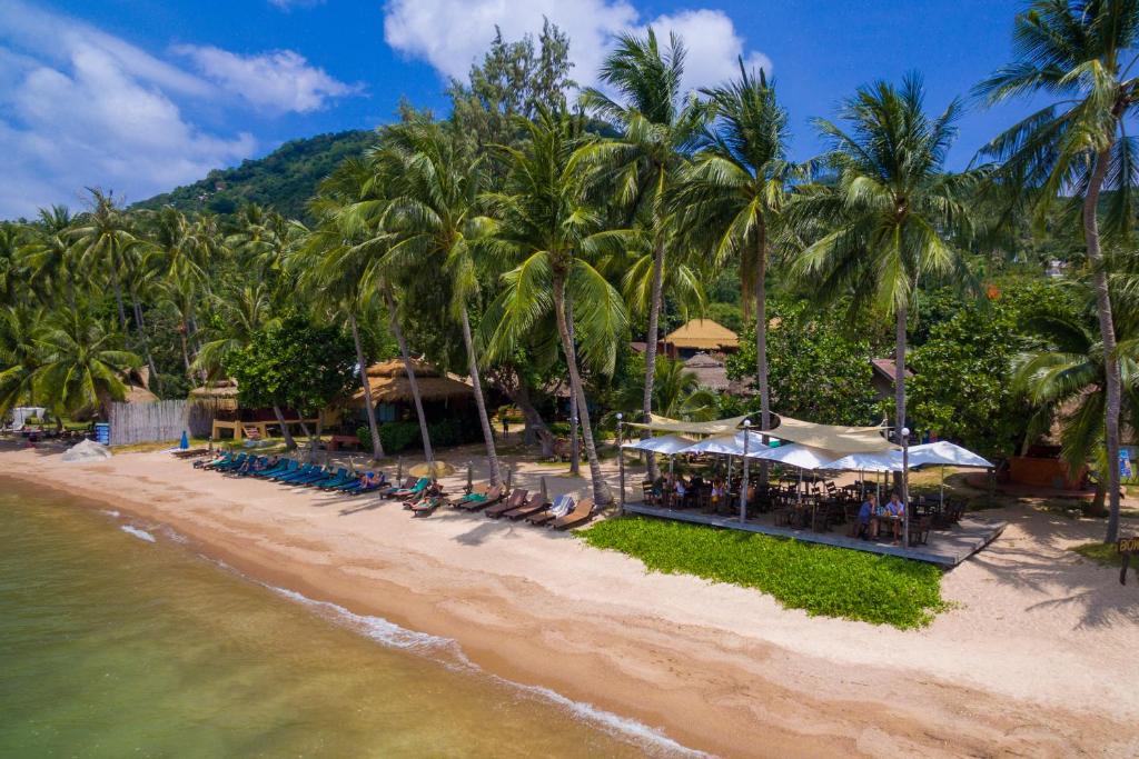 a beach with chairs and umbrellas and palm trees at Palm Leaf Resort Koh Tao in Koh Tao