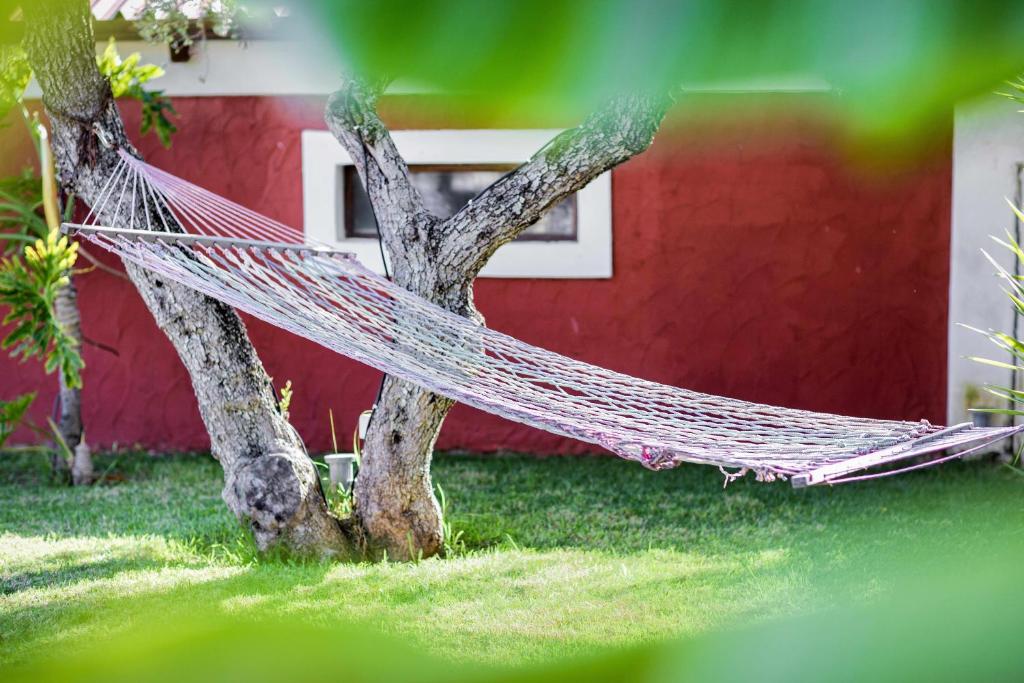 Zahrada ubytování Villa Elea