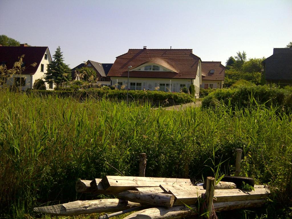 a house in the middle of a field of tall grass at Ferienhaus Boddenkiek mit Wasserblick in Seedorf in Seedorf