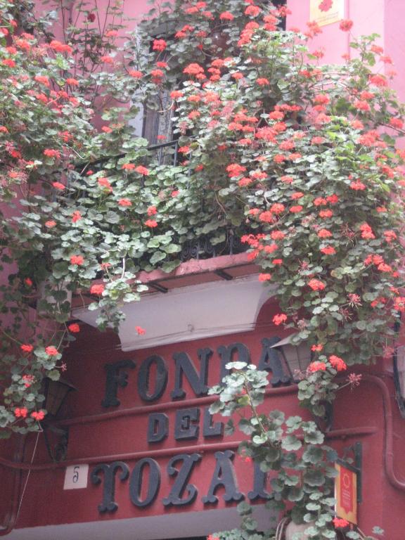 Fotografie z fotogalerie ubytování Fonda Del Tozal v destinaci Teruel