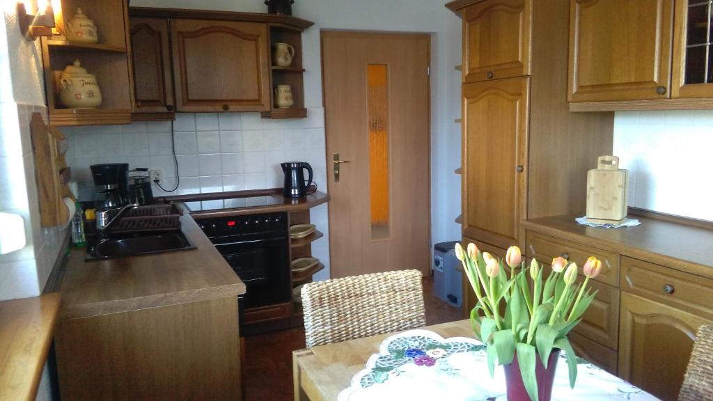 Kuchyň nebo kuchyňský kout v ubytování Apartments Achterblick