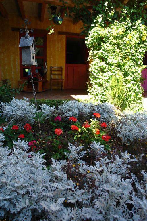 Zahrada ubytování Hotel Posada Primavera