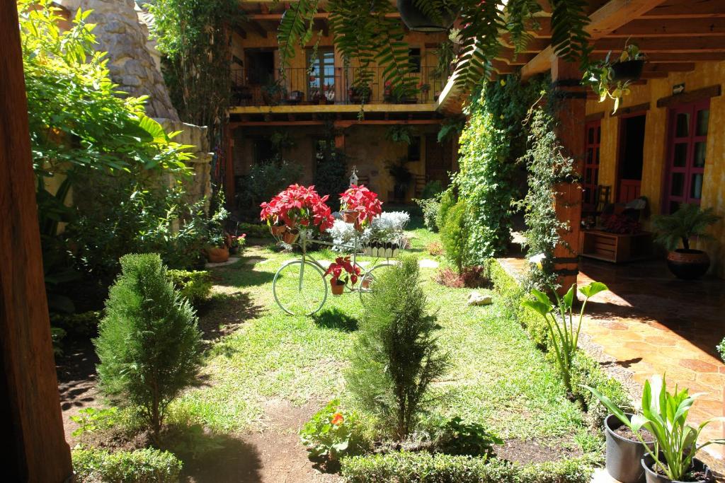 Zahrada ubytování Hotel Posada Primavera
