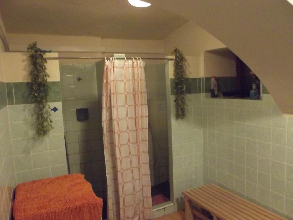 Koupelna v ubytování Guest House Leona