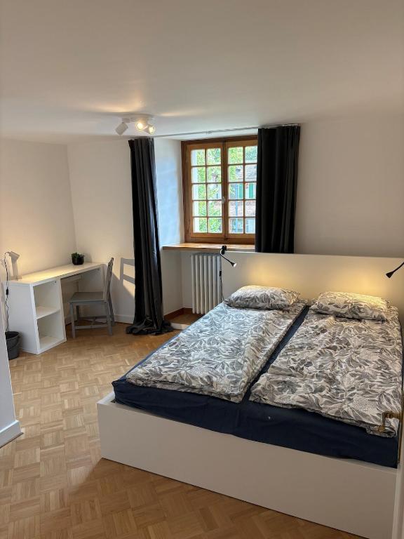 Nice 30 m2 studio, Geneva city center
