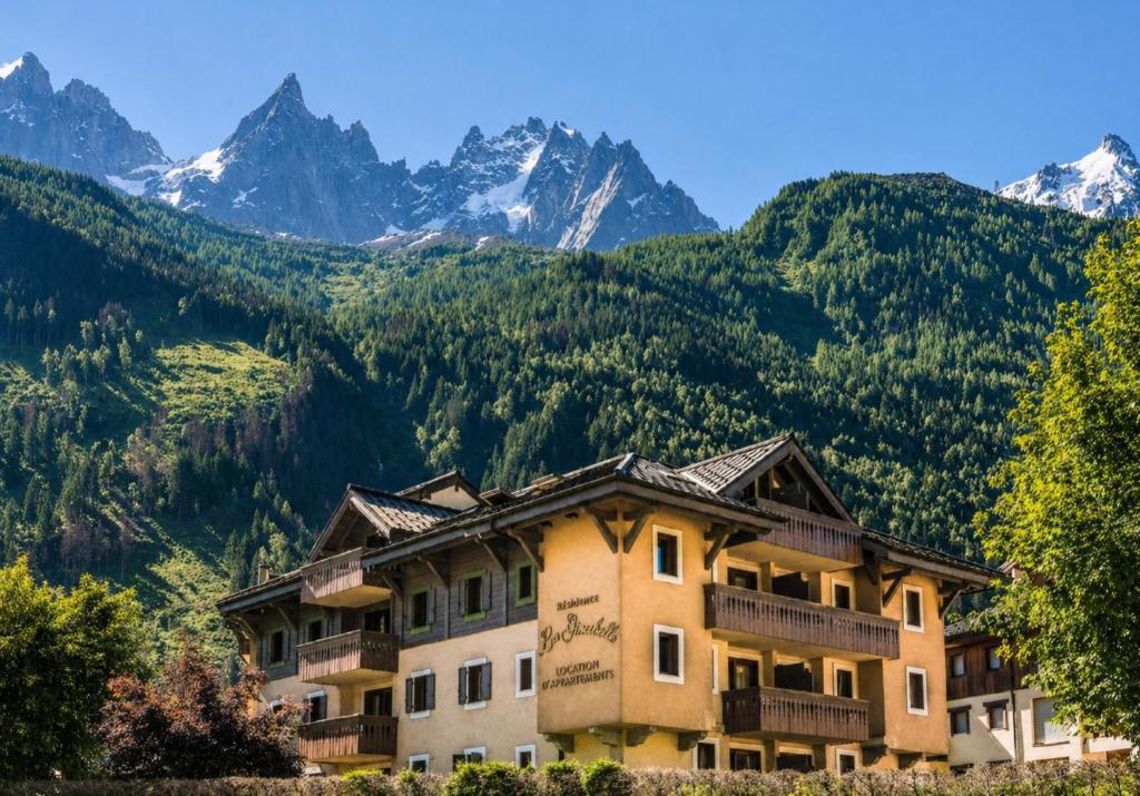 La Ginabelle – vue Mont Blanc avec piscine