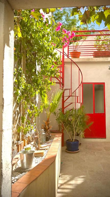 Gite AVIGNON BOUGAINVILLIER
