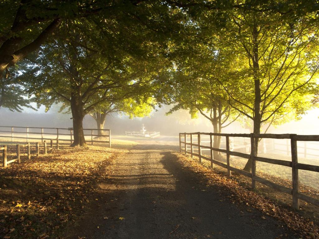 a country road with trees and a fence at Whispering Waters in Fort Nottingham