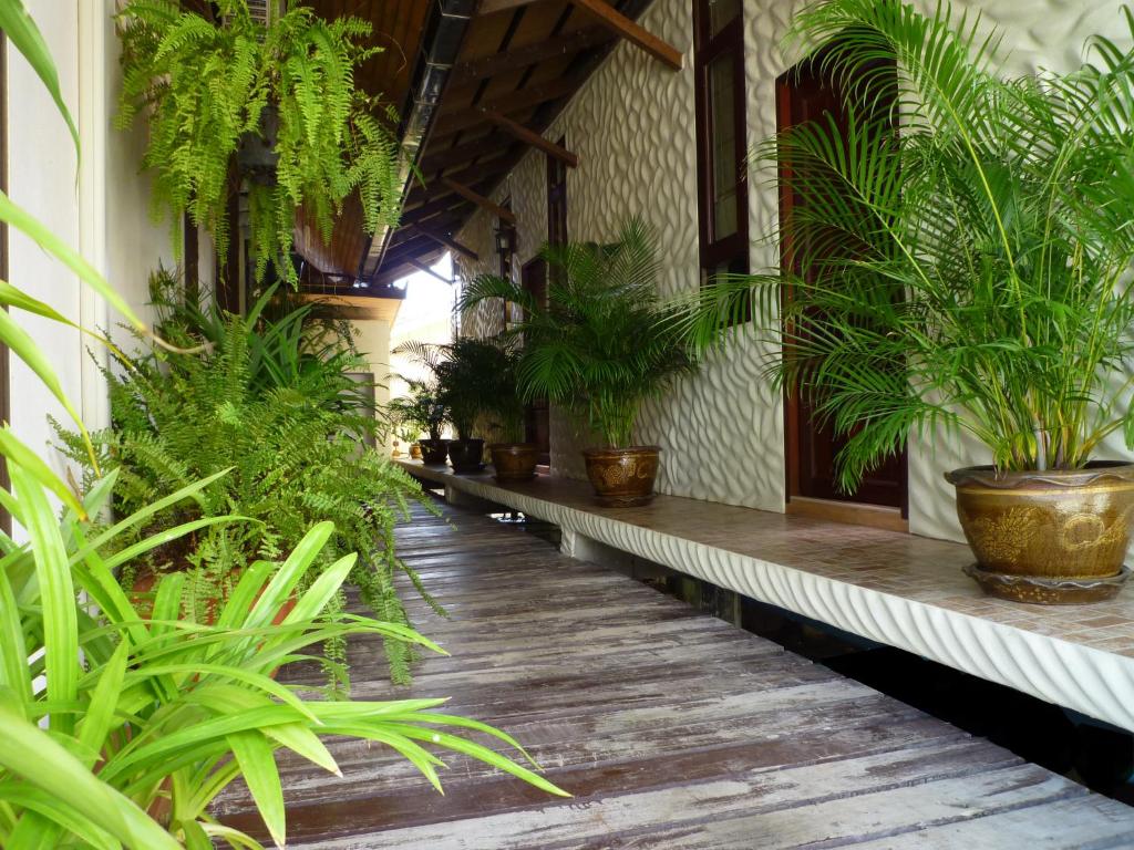 Zahrada ubytování The Mangrove Hideaway Kohchang