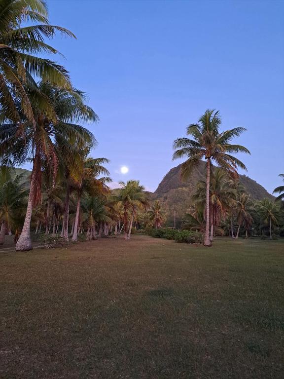 Camping Huahine - photo 3 - Huahine, Polynésie