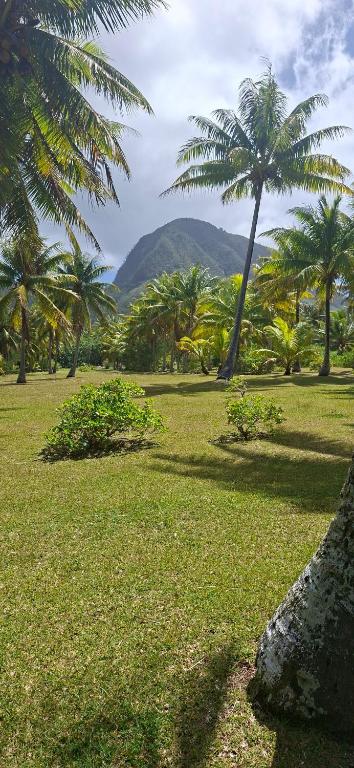 Camping Huahine - photo 2 - Huahine, Polynésie