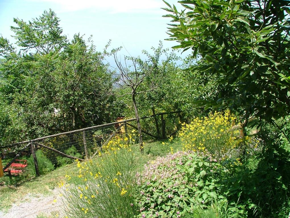 un jardín con flores amarillas, árboles y una valla en Agriturismo La Ginestra, en Vico Equense