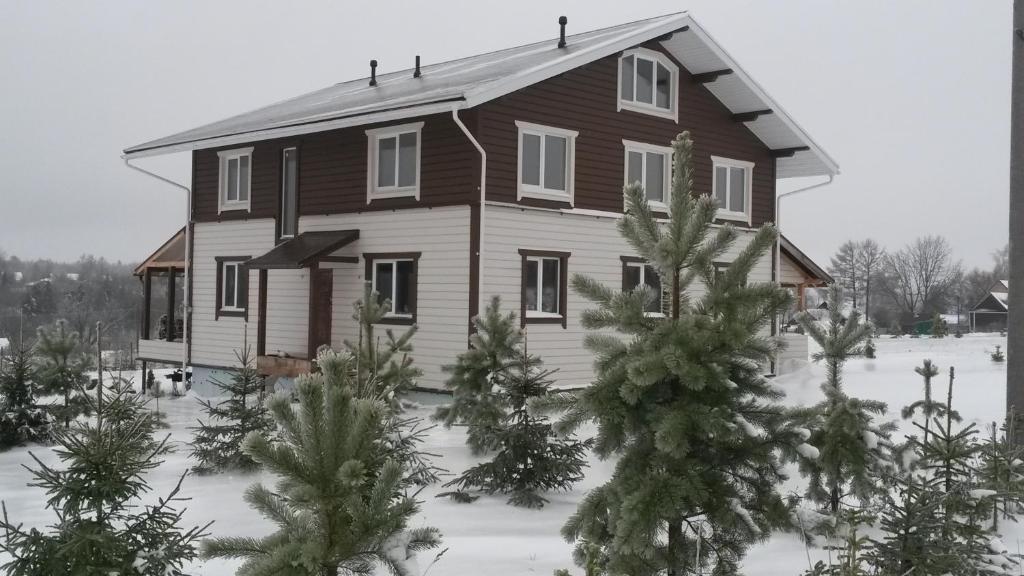 ルイビンスクにあるГостевой дом Стартのクリスマスの木が目の前に広がる家