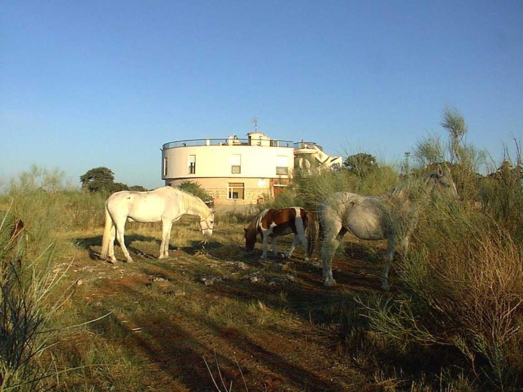 três cavalos a pastar numa colina com um edifício ao fundo em Hotel Paraje La Lambra em Rus