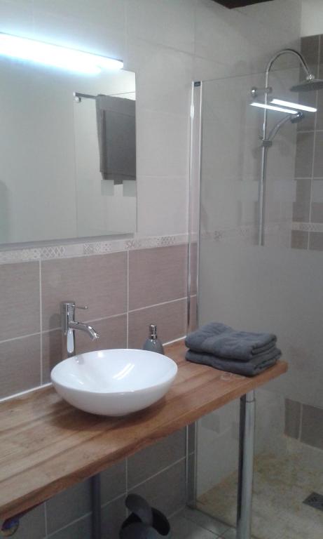 y baño con lavabo blanco y ducha. en Gîte Blonimael, en Vendrennes