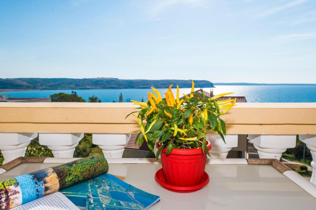 Príroda v okolí apartmánu