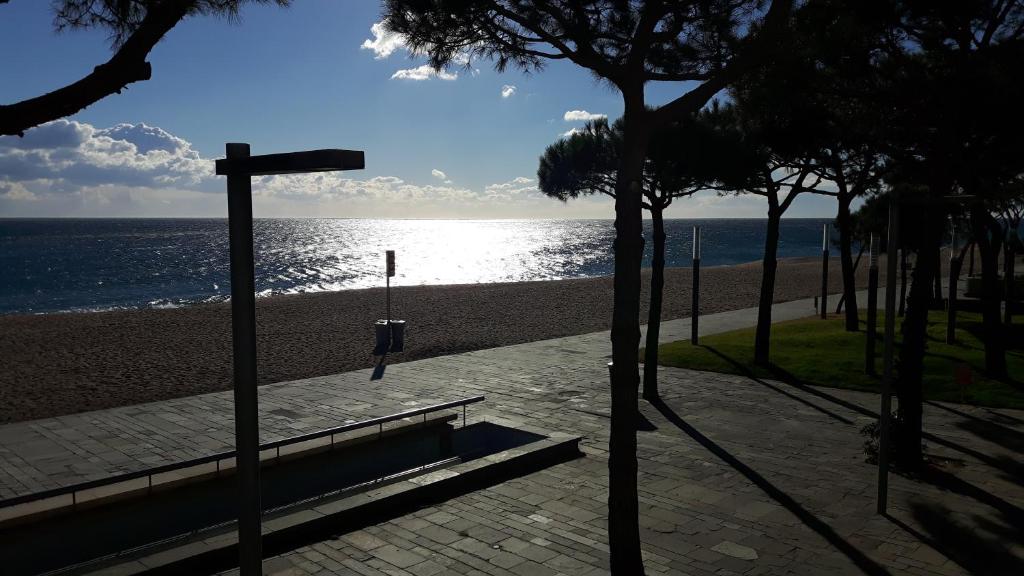 a bench on the beach with the ocean in the background at Apartamentos Catalunya in Platja  d'Aro