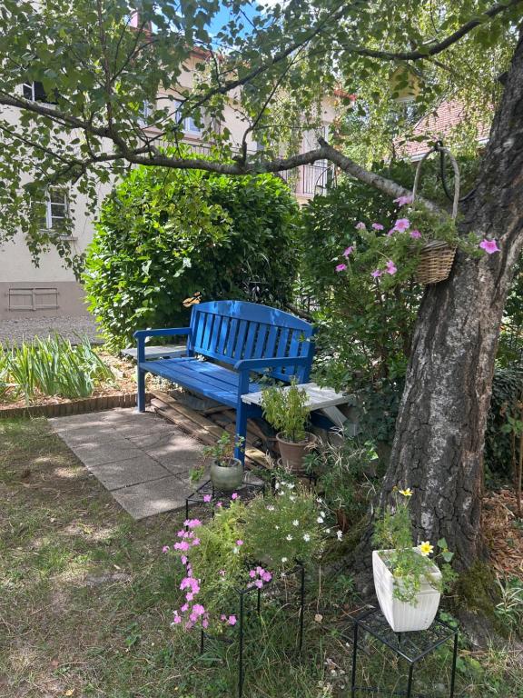 Colmar joli petit appartement – photo 12