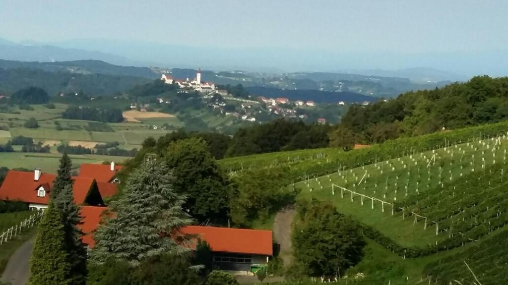 Príroda v okolí dovolenkového domu