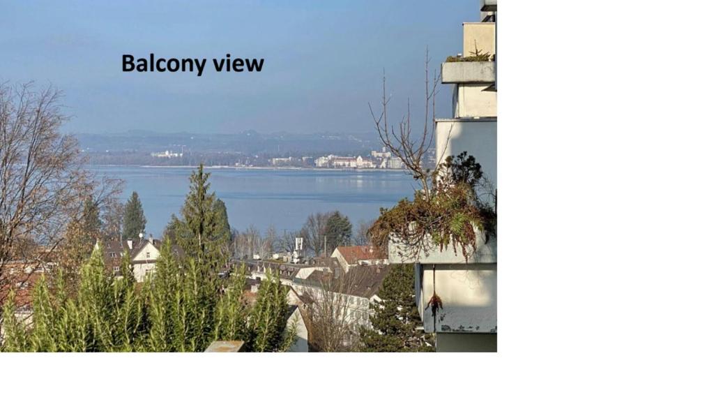 Views over Lake Constance within 5 min from city