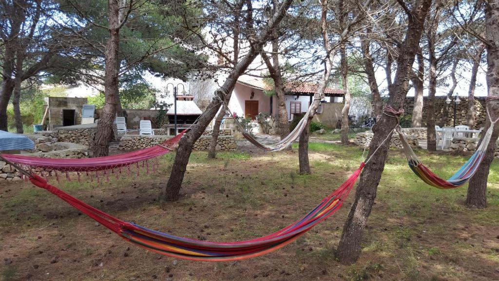 a couple of hammocks hanging from trees in a yard at Villa con Pineta tra paese e mare in Favignana