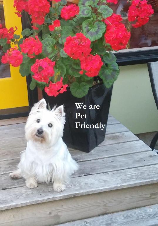 Divya Sutra Suites on Robson Downtown Vancouver - Resim 24